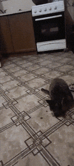 Acid GIFs, June 5 (25 gifs) Acid GIFs, June 5 (25 gifs)