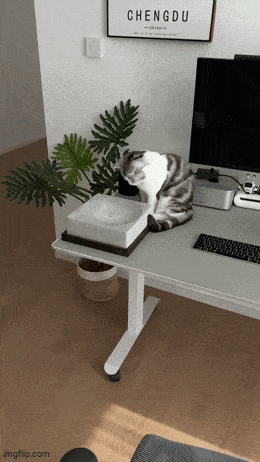 Acid GIFs, June 5 (25 gifs) Acid GIFs, June 5 (25 gifs)