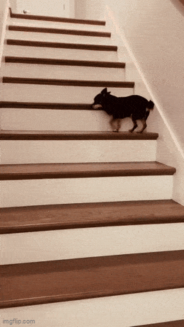 Acid GIFs, June 5 (25 gifs) Acid GIFs, June 5 (25 gifs)
