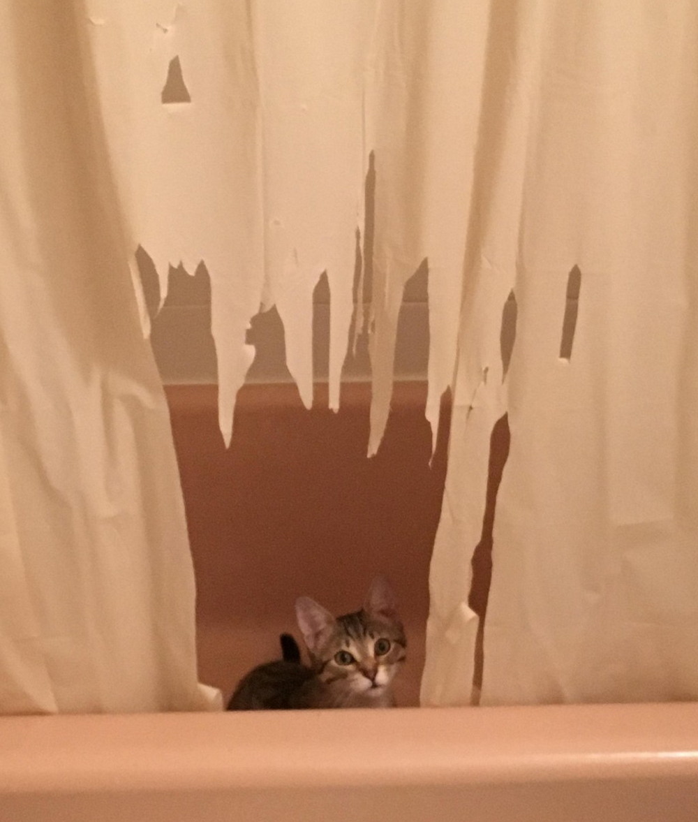 Bad Days Happen (23 pics)