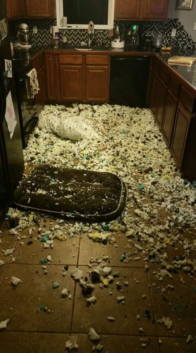 Bad Days Happen (23 pics)