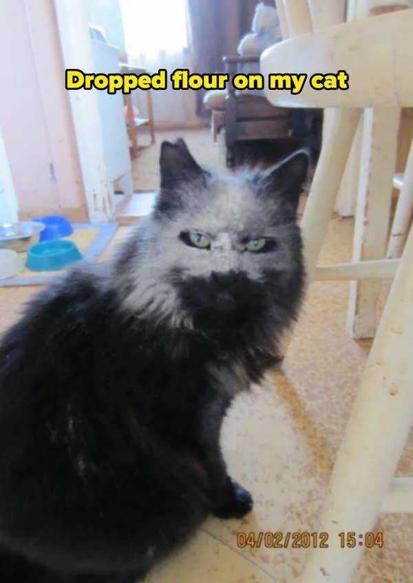 Epic Fails (18 pics)