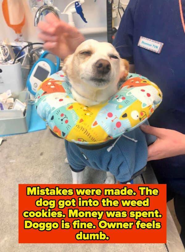 Epic Fails (18 pics)