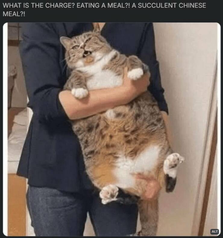 Daily Pictures. Part 2 (55 pics)