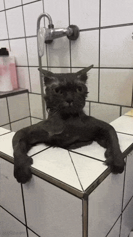 Acid GIFs, June 6 (25 gifs)