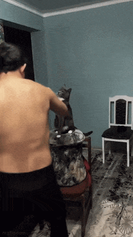 Acid GIFs, June 6 (25 gifs)