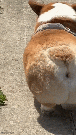 Acid GIFs, June 6 (25 gifs)