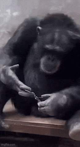 Acid GIFs, June 6 (25 gifs)