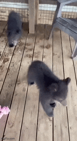 Acid GIFs, June 6 (25 gifs)