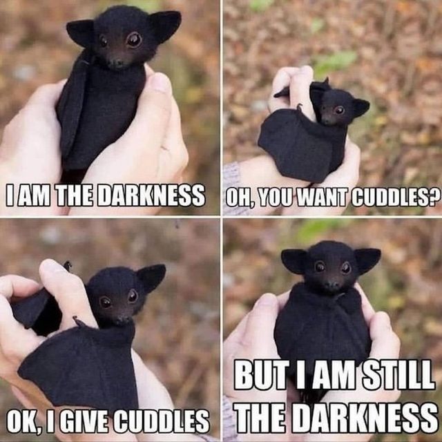 Memes For Animal Lovers (26 pics)