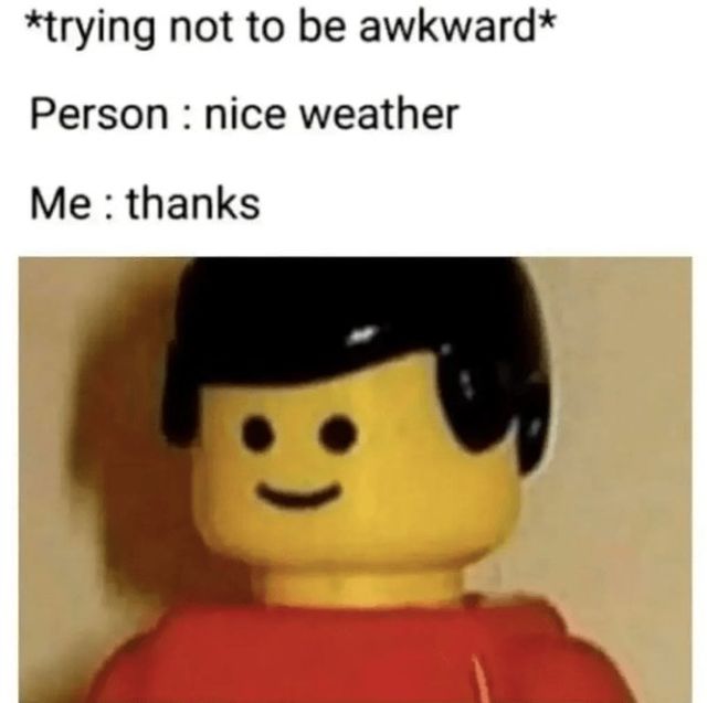 Memes For Introverts (29 pics)