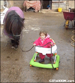 Acid GIFs, June 9 (25 gifs)