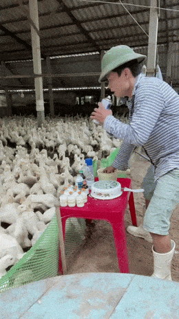 Acid GIFs, June 9 (25 gifs) Acid GIFs, June 9 (25 gifs)