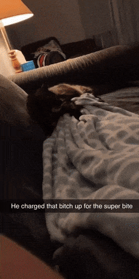 Acid GIFs, June 9 (25 gifs)