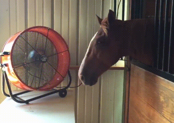 Acid GIFs, June 9 (25 gifs) Acid GIFs, June 9 (25 gifs)