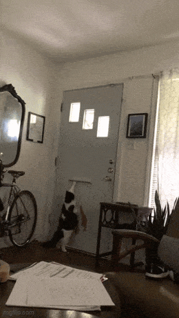 Acid GIFs, June 9 (25 gifs)