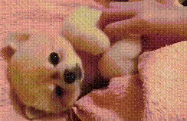 Acid GIFs, June 9 (25 gifs) Acid GIFs, June 9 (25 gifs)