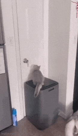 Acid GIFs, June 9 (25 gifs)