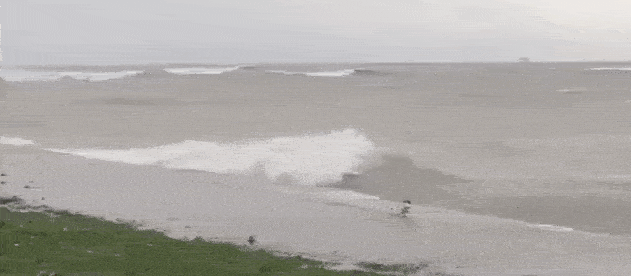 Acid GIFs, June 9 (25 gifs) Acid GIFs, June 9 (25 gifs)
