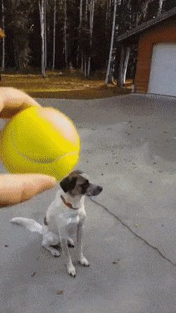 Acid GIFs, June 9 (25 gifs) Acid GIFs, June 9 (25 gifs)