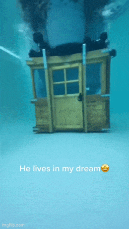 Acid GIFs, June 9 (25 gifs) Acid GIFs, June 9 (25 gifs)