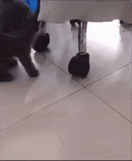 Acid GIFs, June 9 (25 gifs) Acid GIFs, June 9 (25 gifs)