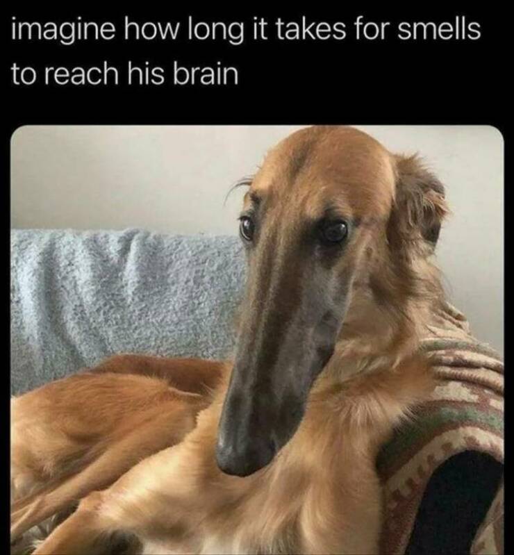 Daily Pictures. Part 2 (59 pics)