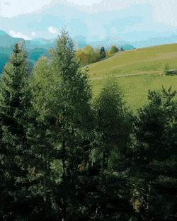 Acid GIFs, June 10 (25 gifs)