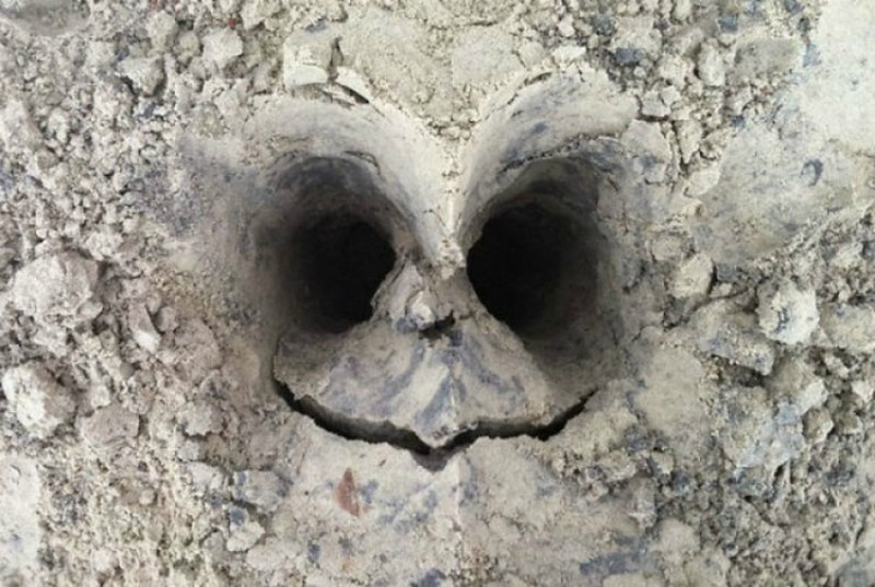 This Is Pareidolia (25 pics)
