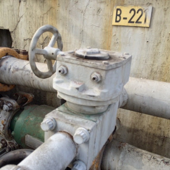 This Is Pareidolia (25 pics)