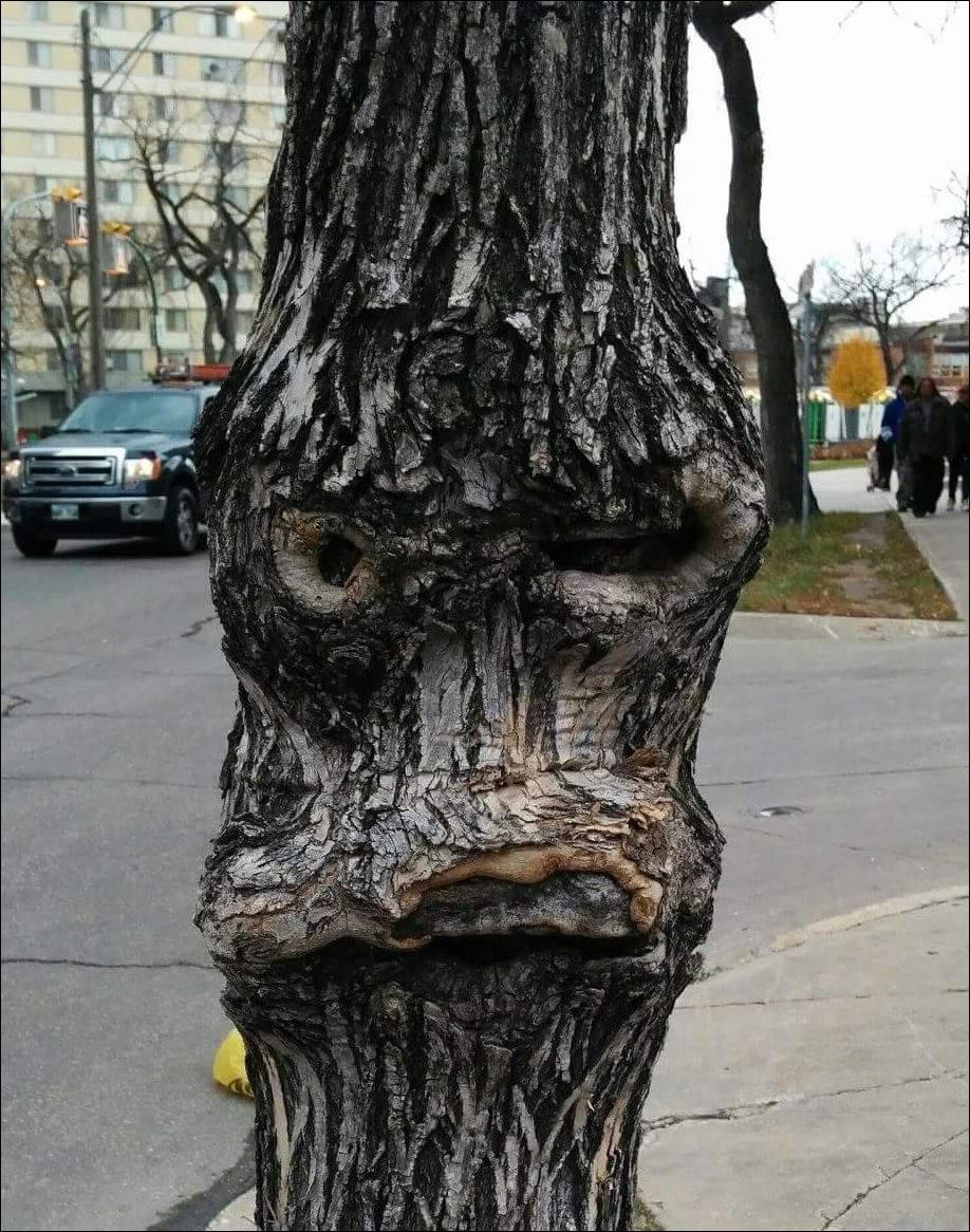 This Is Pareidolia (25 pics)