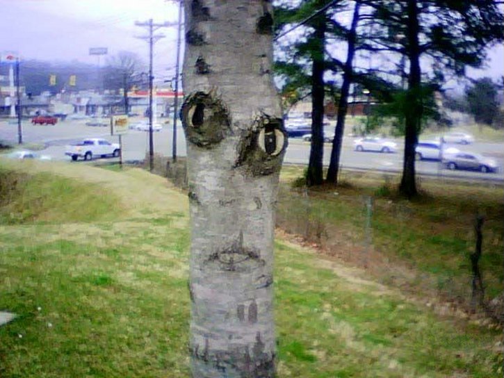 This Is Pareidolia (25 pics)