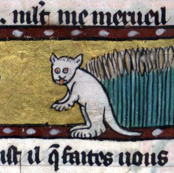 In The Middle Ages They Didn't Know How To Draw Cats (20 pics)
