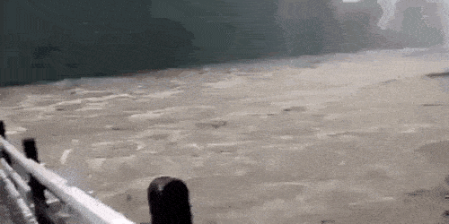Acid GIFs, June 11 (25 gifs) Acid GIFs, June 11 (25 gifs)