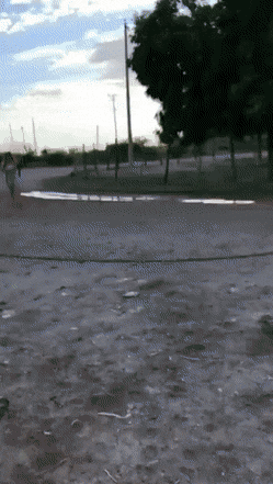 Acid GIFs, June 11 (25 gifs)