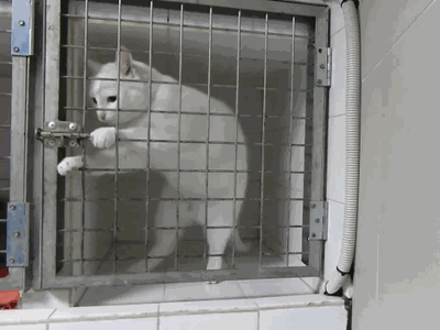 Acid GIFs, June 11 (25 gifs) Acid GIFs, June 11 (25 gifs)