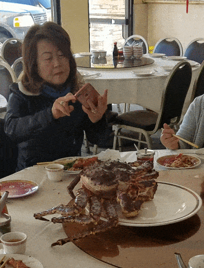 Acid GIFs, June 11 (25 gifs)