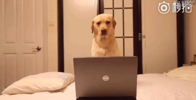 Acid GIFs, June 11 (25 gifs)