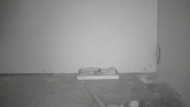 Acid GIFs, June 11 (25 gifs) Acid GIFs, June 11 (25 gifs)
