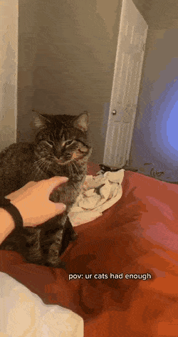 Acid GIFs, June 11 (25 gifs) Acid GIFs, June 11 (25 gifs)