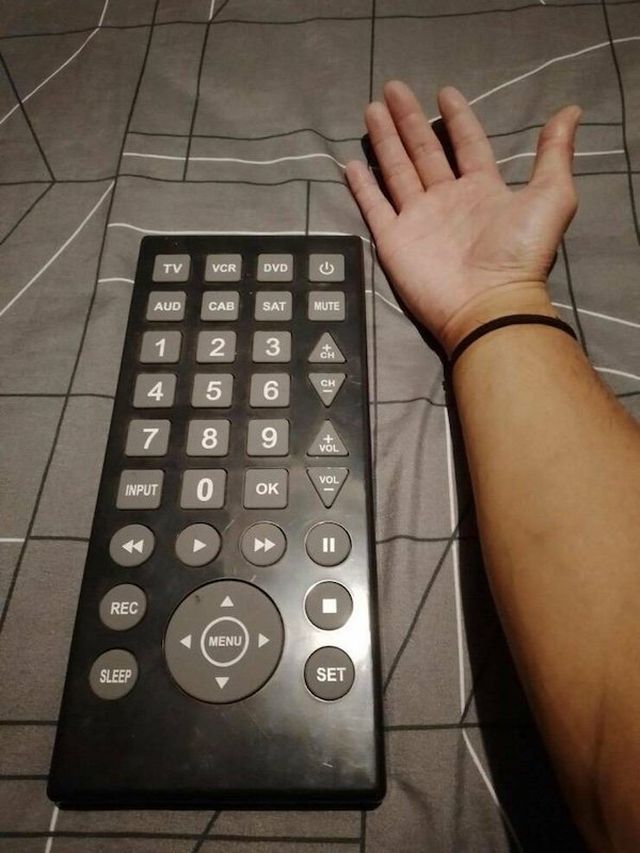 Giant Things (40 pics)