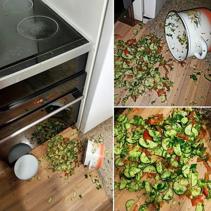 Bad Days Happen (27 pics)