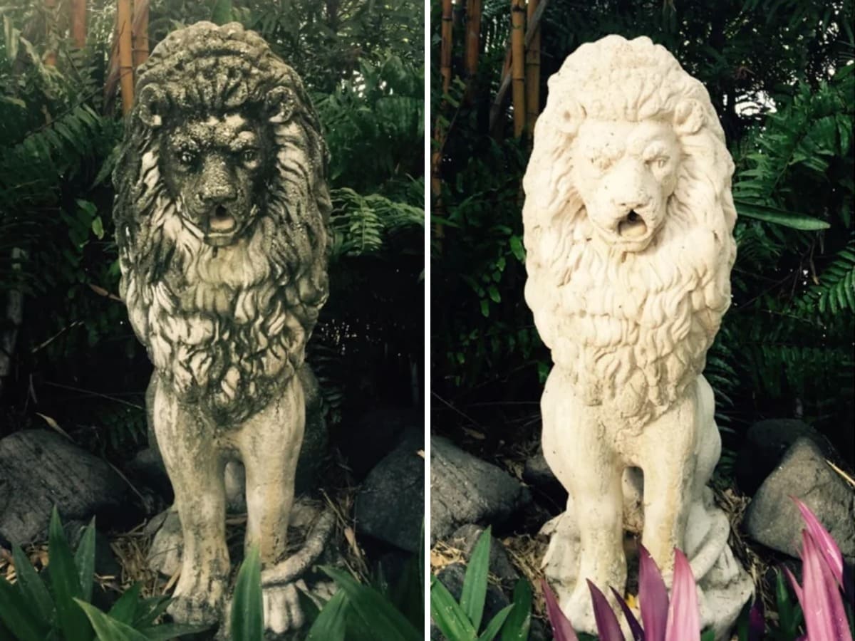 Before And After Cleaning (16 pics)