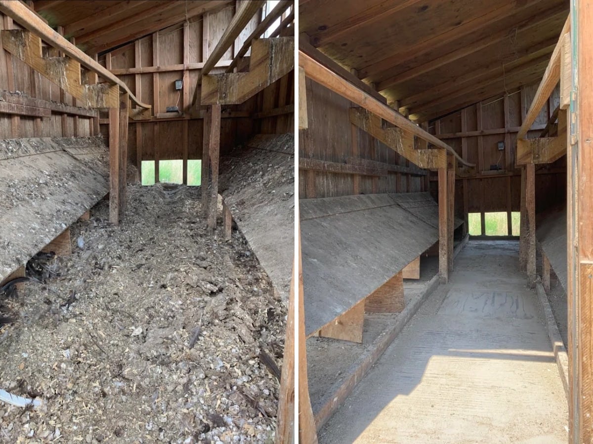 Before And After Cleaning (16 pics)