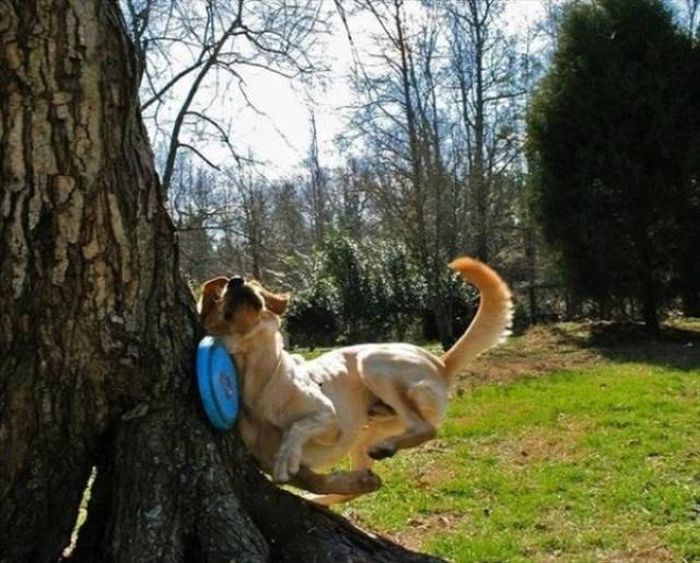 Right Moment (21 pics)