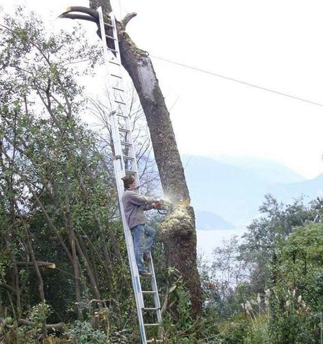 They Don't Care About Safety (19 pics)