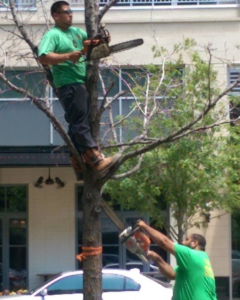 They Don't Care About Safety (19 pics)