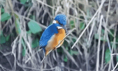 Acid GIFs, June 12 (25 gifs) Acid GIFs, June 12 (25 gifs)