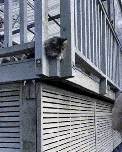 Acid GIFs, June 12 (25 gifs) Acid GIFs, June 12 (25 gifs)