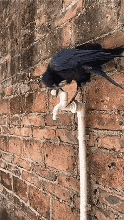 Acid GIFs, June 12 (25 gifs) Acid GIFs, June 12 (25 gifs)